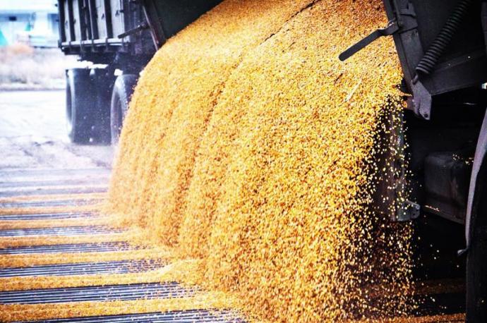 Kazakhstan plans to increase grain exports