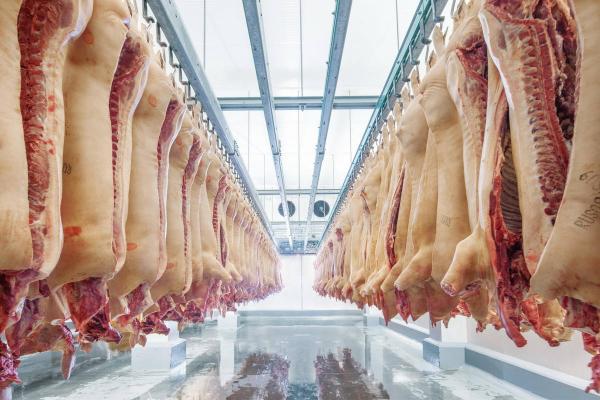 Создание комплекса по производству мяса свинины